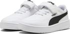 Court Lally AC PS