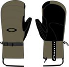 Powder Ridge Mittens