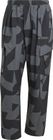 Terrex Xploric Printed Cargo Pants