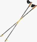 Running Poles Carbon z Fixed