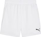 Teamcup Shorts