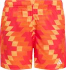 Football-inspired Graphic Swim Shorts