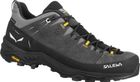 ALP Trainer 2 GTX M