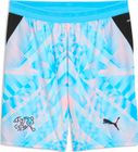 SFV Shorts Replica GK