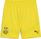 BVB Shorts Replica