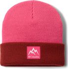 Youth Whirlibird Cuffed Beanie