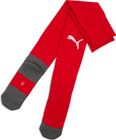 teamLIGA26 Socks Core