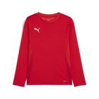 Teamgoal LS Jersey Jr