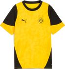 BVB Training Jersey Jr