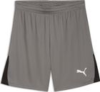 teamLIGA26 Shorts
