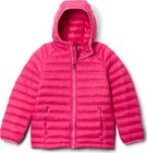 Powder Pass Hooded Jacket