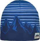 Spitser Beanie