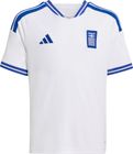 Greece 26 Home Jersey Kids Junior Boys and Girls