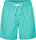 Vert 16'' Swim Shorts