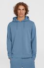 O'neill Small Logo Hoodie