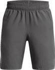 Tech Woven Wordmark Short
