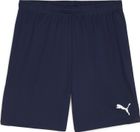 Teamgoal Shorts