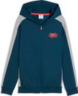 Active Sports Full-zip Hoodie TR B