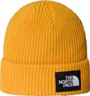 Salty Lined Beanie