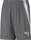 Teamliga Shorts Jr
