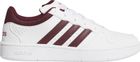 Hoops Classic Shoes