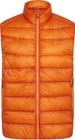 Alto 2.0 Unisex Ultralight Down Vest
