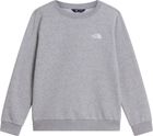 Teen Evolution Simple Dome Crew
