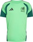 Mexico 26 Tiro Training Jersey
