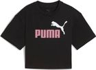 Essentials 2 Color No. 1 Logo Short Length Tee G