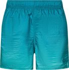 Ombre 16'' Beachshort