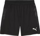 Teamcup Training Shorts