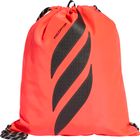 Predator Gymsack