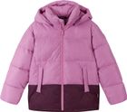 Winter Jacket, Teisko