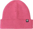 Prtchapters TD Beanie