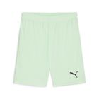Teamgoal Shorts