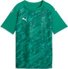 Teamfinal Graphic Jersey Jr