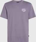 O'neill Box Logo T-shirt