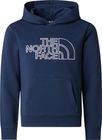 Teen Drew Peak Light REG Hoodie