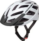 Panoma 3.0