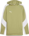 Teamevostripe Hoody