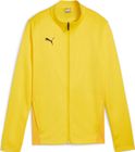 Teamgoal Training Jacket Jr