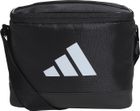 Cooler Bag