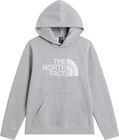 Teen TNF Essential Drew Peak Hoodie