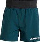 Terrex Xperior Shorts