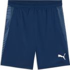 Individualfinal Shorts