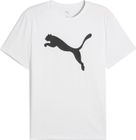 M TAD Essentials Solid Cat Tee (CF big Cat)
