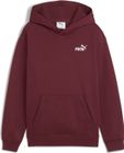 Essentials Small No. 1 Logo Relaxed Hoodie FL B