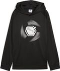 Active Sports Graphic Poly Hoodie B