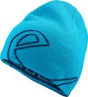 Corporate Beanie