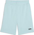 Essentials 2 Color No. 1 Logo Shorts 10